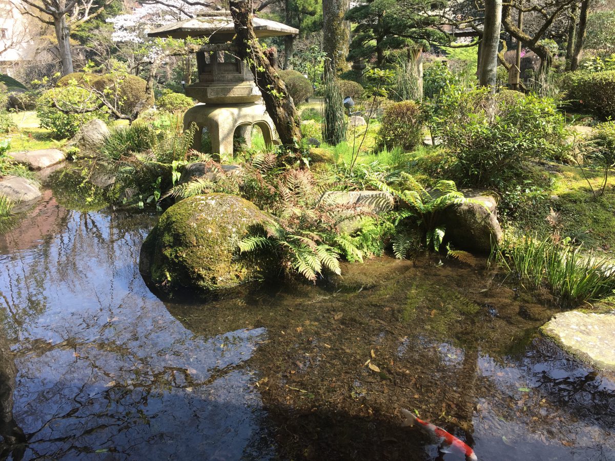 箱根には外国人観光客が増加。インバウンドの期待の大きさが各所から伺える話