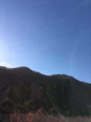 深夜の花火　ペルセウス座流星群【理科】