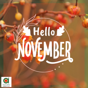 Hallo November 2024